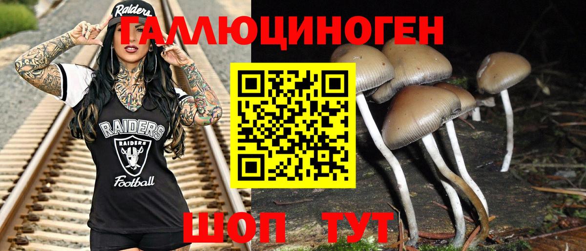 Узловая  Псилоцибиновые грибы ЛСД  Вход с VPN 